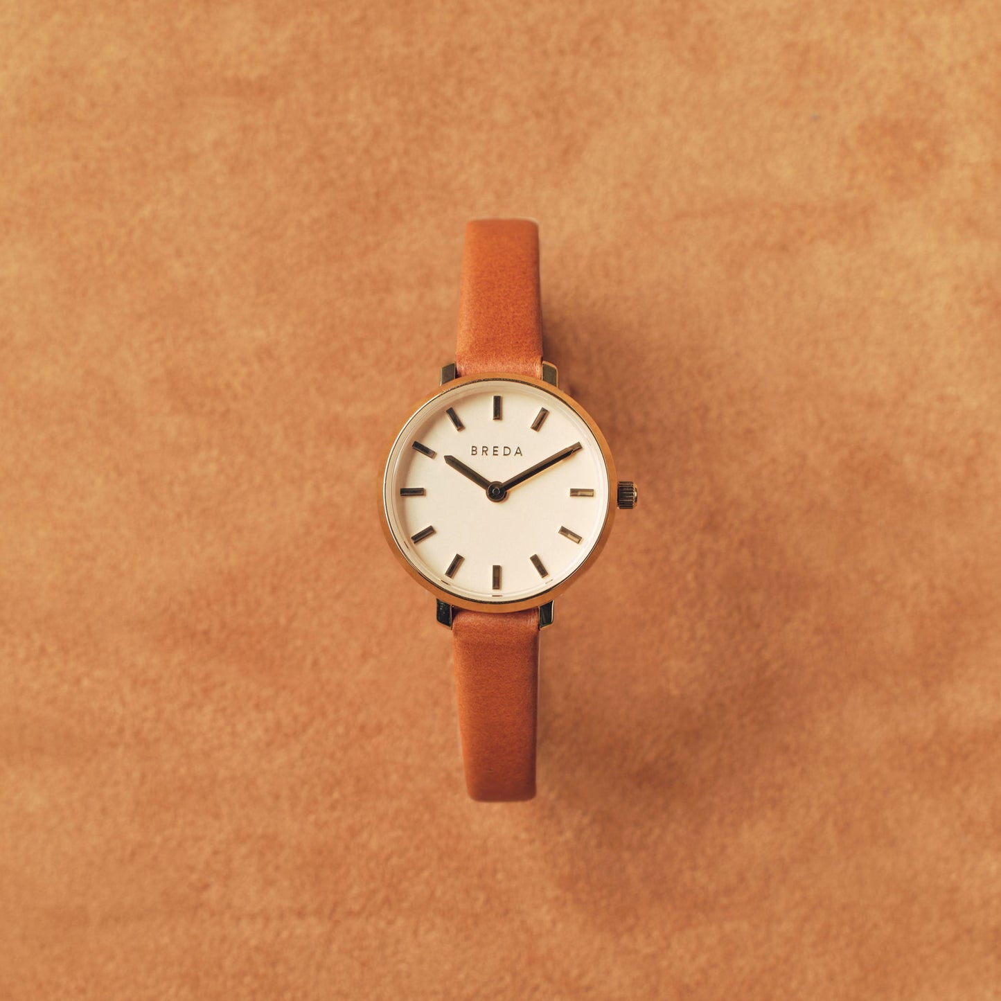 Beverly Camel Dorado - BREDA